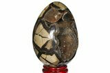Septarian Dragon Egg Geode - Black Crystals #120896-2